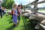 Kinder Camps                                                                                                                    